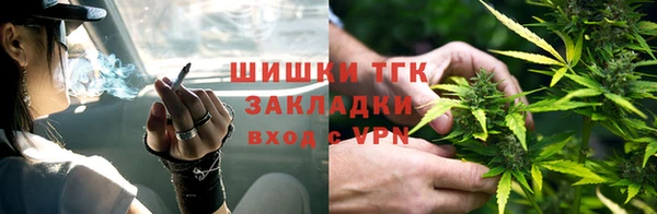 сатива Абаза