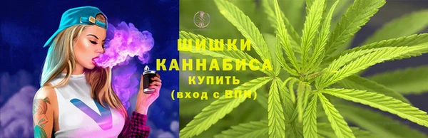 крисы Абдулино