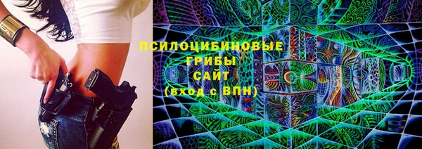 сатива Абаза