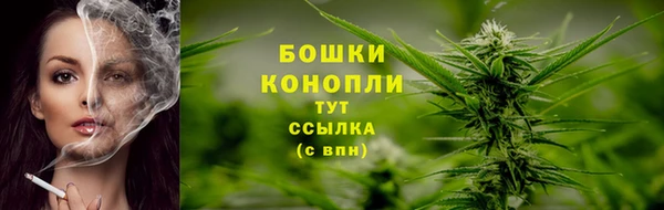 сатива Абаза