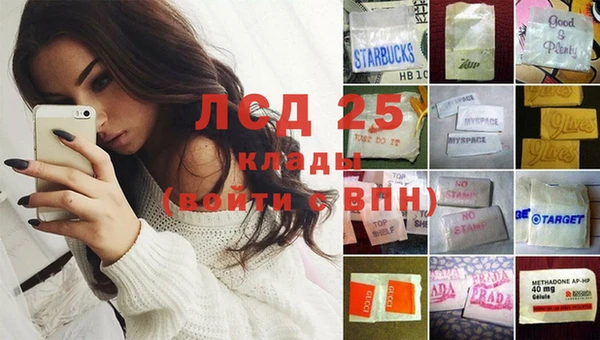 сатива Абаза