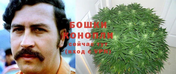 сатива Абаза