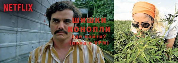 крисы Абдулино