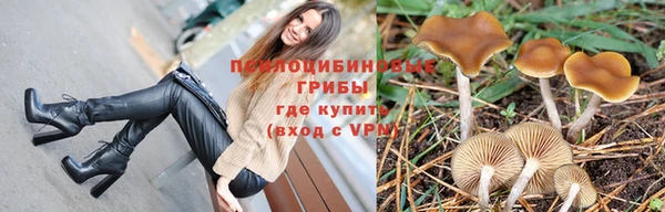 сатива Абаза