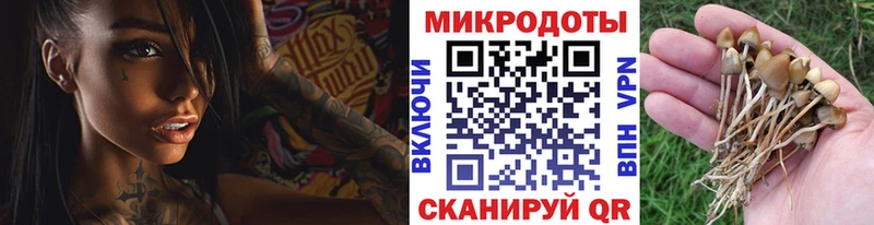 omg зеркало  купить  сайты  Пойковский  мориарти наркотические препараты  Псилоцибиновые грибы MAGIC MUSHROOMS 